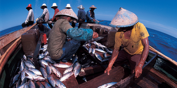 Pemerintah Perluas Insentif Pajak untuk 11 Sektor Bisnis, Dari Pangan sampai Perdagangan