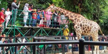 Keringanan Pajak untuk Kebun Binatang Cegah Hewan Kelaparan