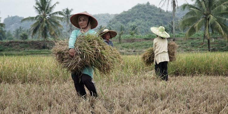 Percepat Pemulihan Ekonomi, Perkuat Reformasi Struktural