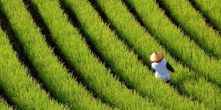 Indonesia Lanjutkan Komitmen Ekonomi Hijau