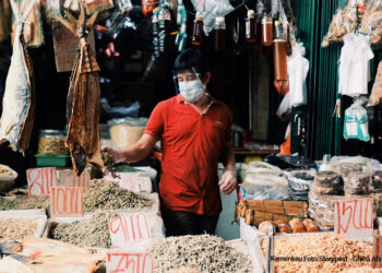 DJP Ajak UMKM Manfaatkan Insentif Pajak, Berlaku Hingga Akhir Tahun