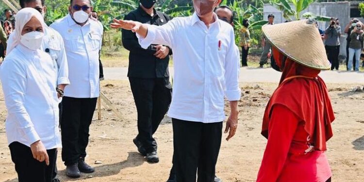 Presiden Jokowi: 800 Juta Orang Akan Kelaparan, Harus Ada Solusi Krisis Pangan