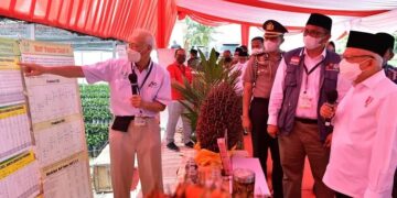 Hadapi Lonjakan Harga Pangan, Pemerintah Siapkan Bansos dan Operasi Pasar