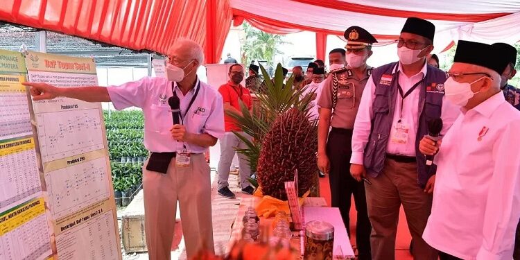 Hadapi Lonjakan Harga Pangan, Pemerintah Siapkan Bansos dan Operasi Pasar
