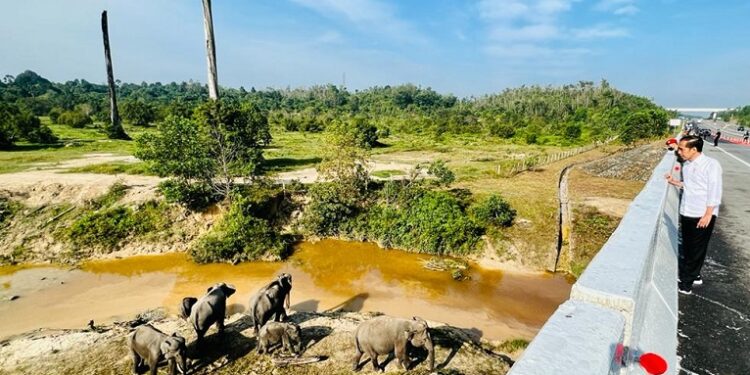 Presiden Jokowi: Pembangunan Infrastruktur Harus Ramah Lingkungan