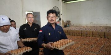 Jelang Lebaran, Pemerintah Pastikan Stok Telur dan Daging Aman