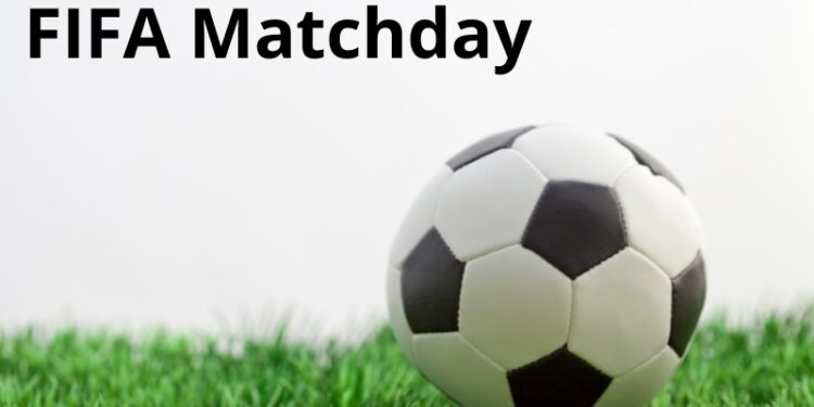 Potensi Pajak Pertandingan FIFA Matchday Capai Rp28 Miliar