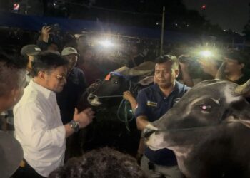 Mentan Pastikan Stok Hewan Kurban Idul Adha 2023 Aman hingga Pelosok Daerah