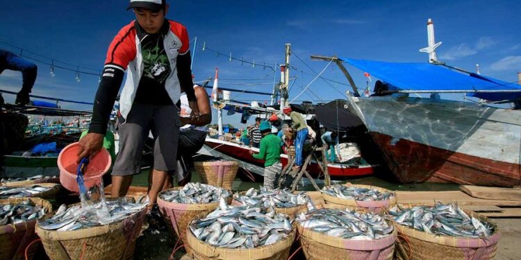 Pemajakan Sektor Perikanan