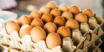 Harga Telur Ayam Kapan Turun?