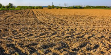 Tanah Warisan Kena Pajak? Ini Penjelasannya