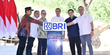 Presiden Jokowi: Minat Investasi di IKN Tinggi, Banyak Investor Antre