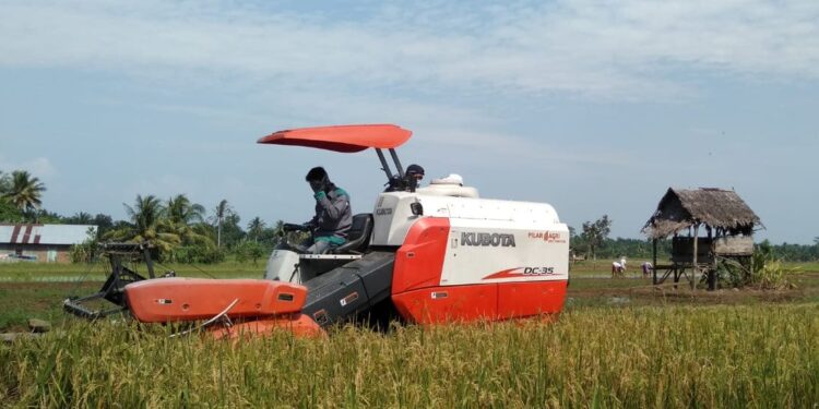 Kemenperin Siapkan Insentif Pajak Industri Alat Mesin Pertanian Demi Ketahanan Pangan